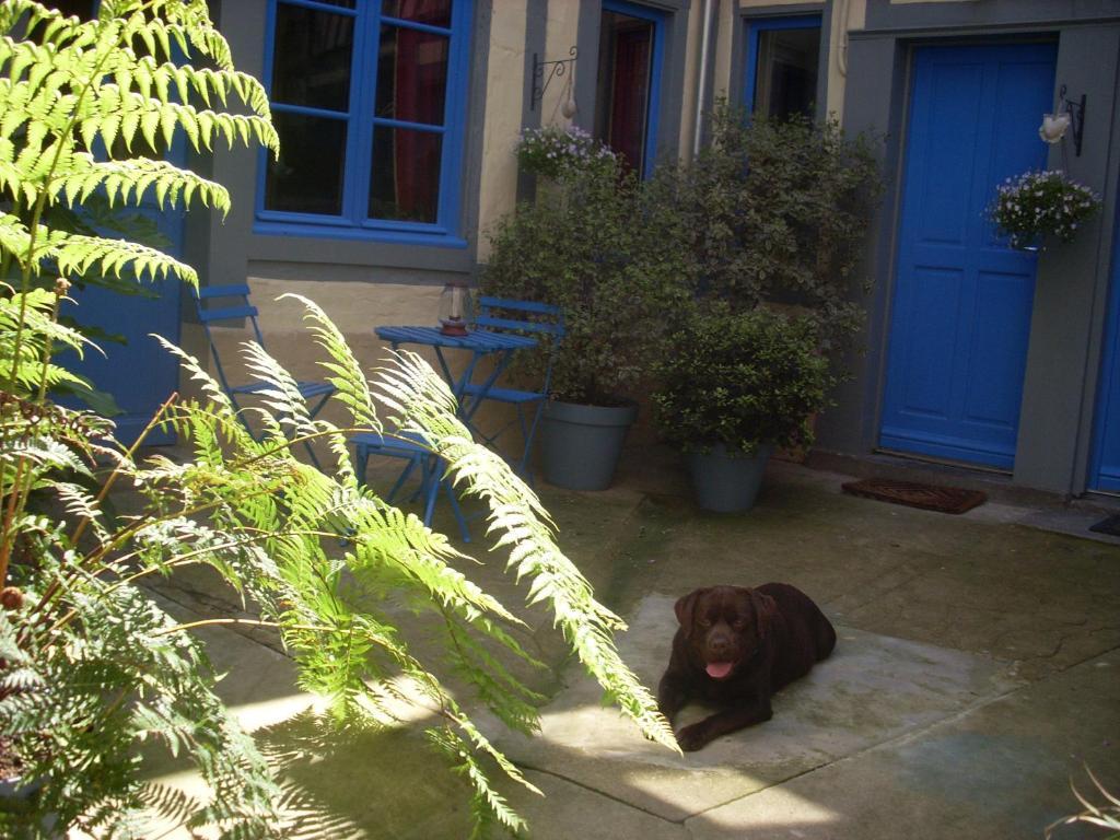 Reglisse Et Pain D'Epices - Chambres D'Hotes Honfleur Exterior foto